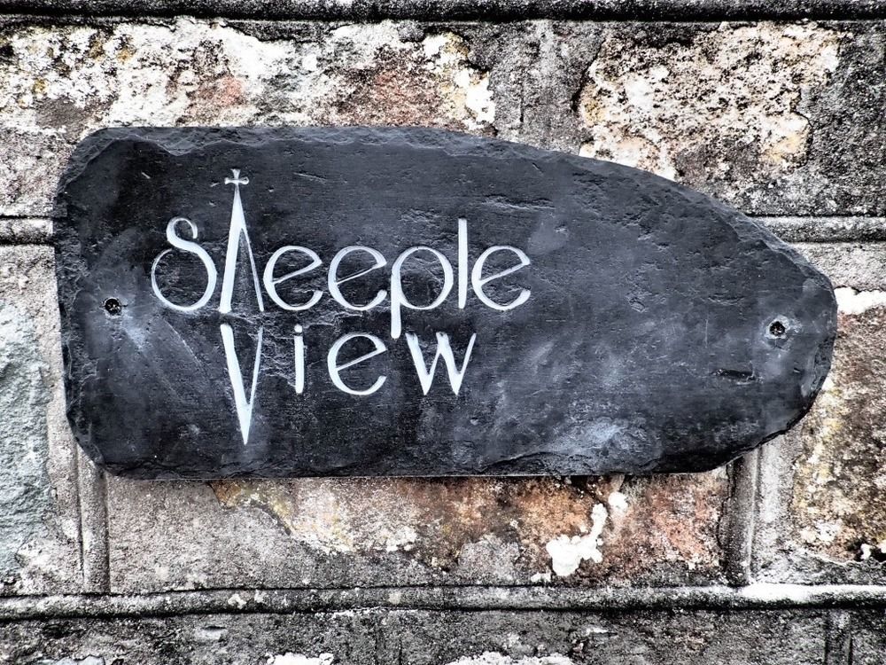 Bed and Breakfast Steeple View Newport  Esterno foto